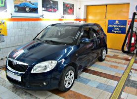 Общий вид Skoda Fabia 1.2 Skoda Fabia 1.2