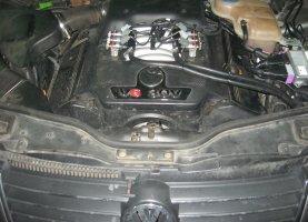 VW Passat 3.0 газ на VW Passat 3.0