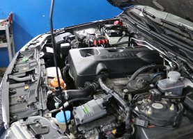 Сузуки Греы на газе